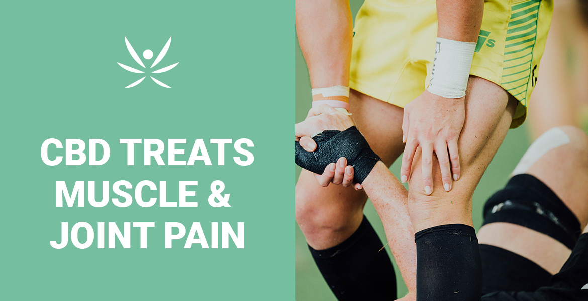cbd wellness products online