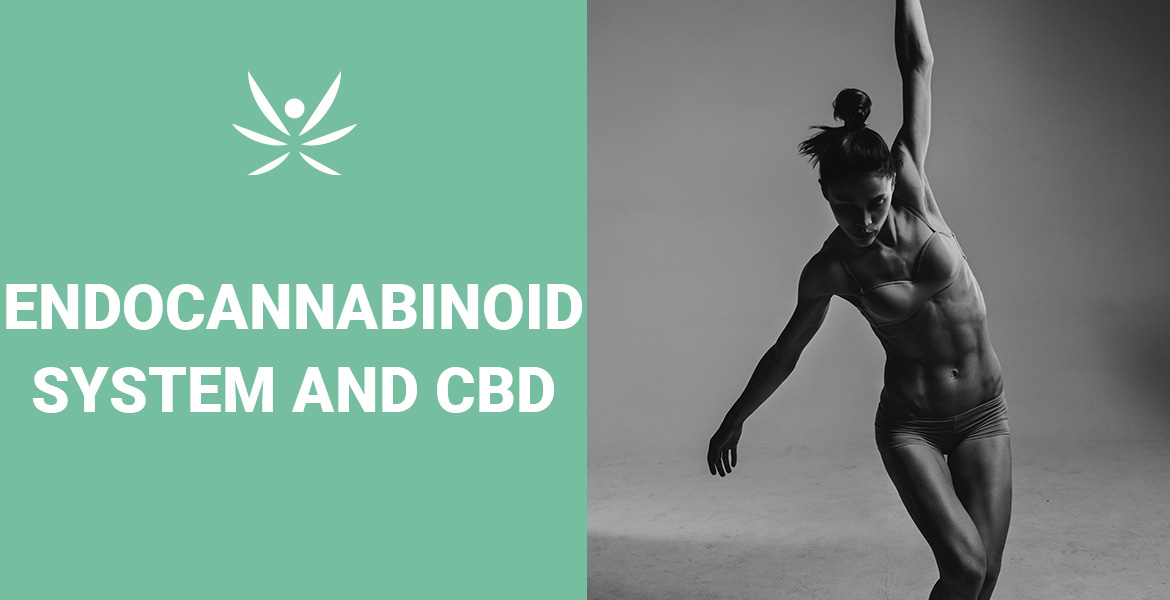 full spectrum cbd cbg oil peppermint flavor