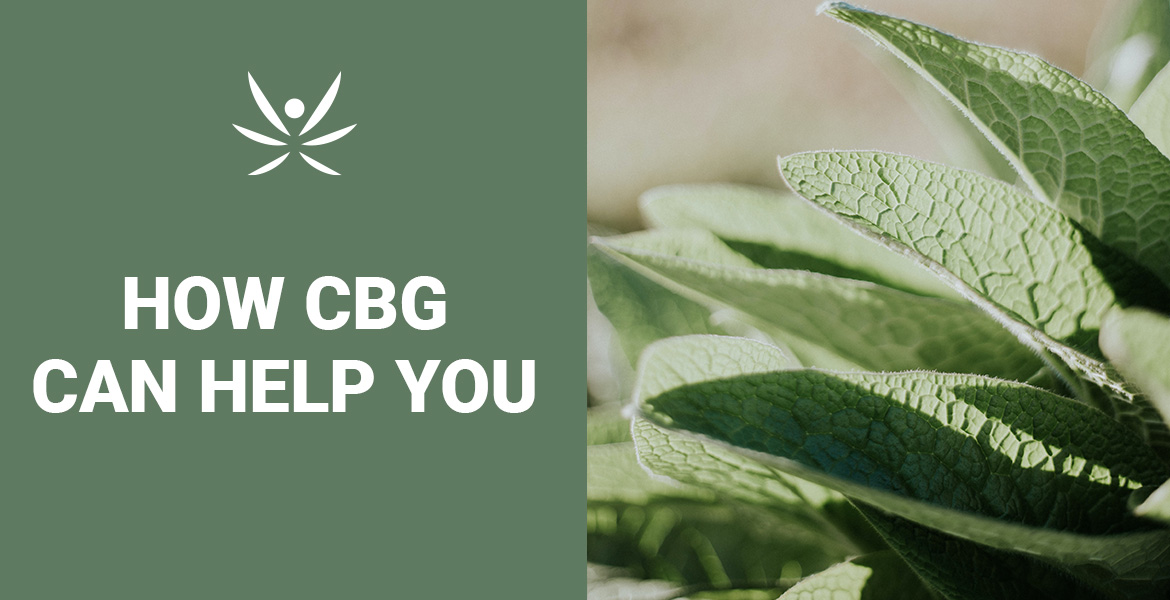 organic health and wellness products