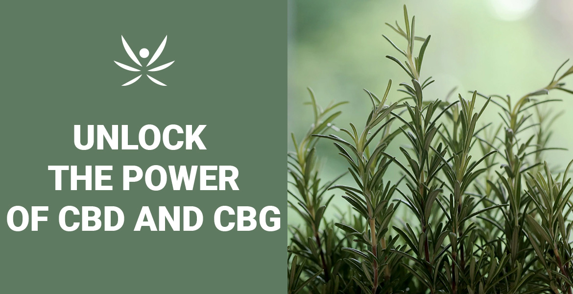 cbg oil for anxiety