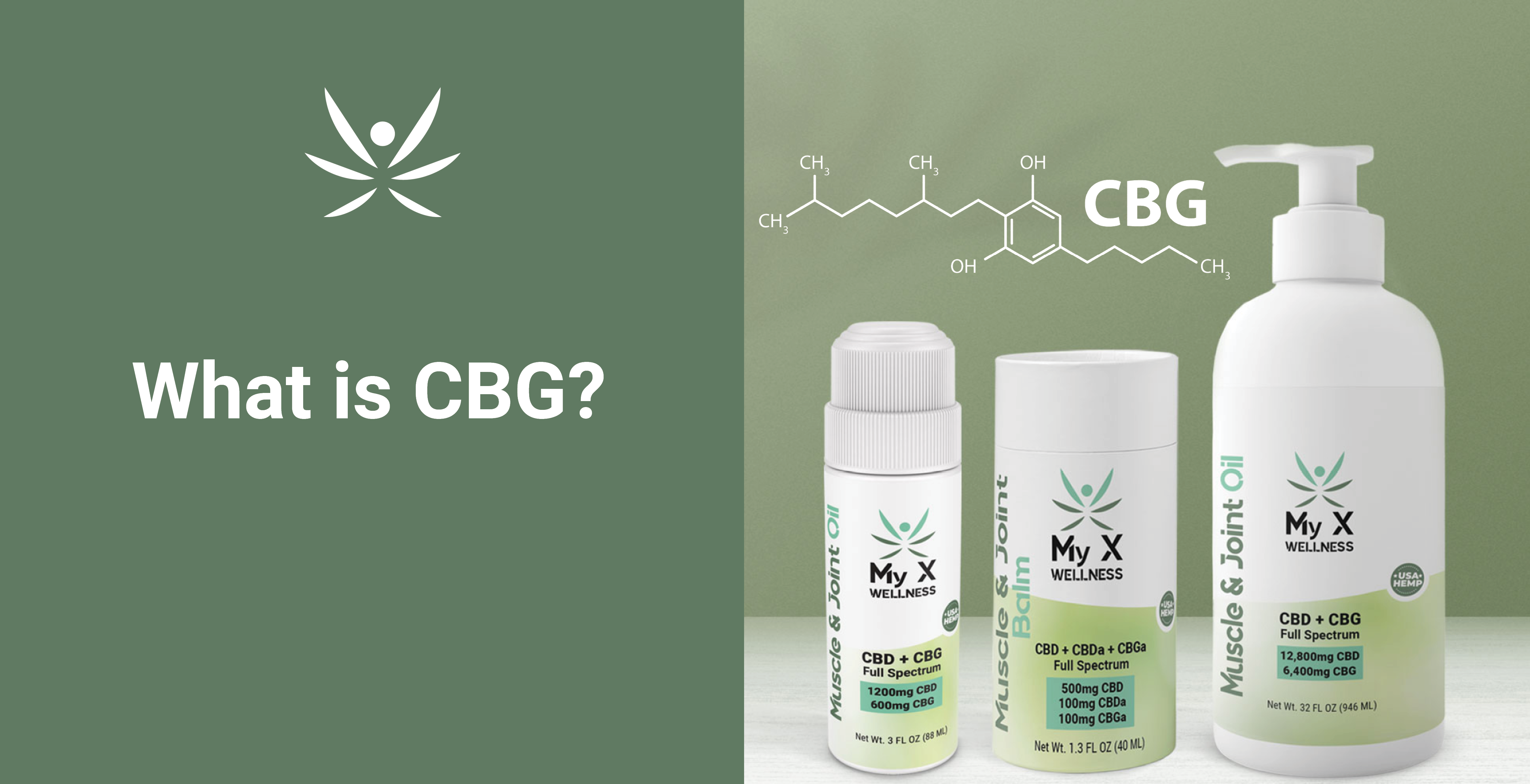 wellness company products
