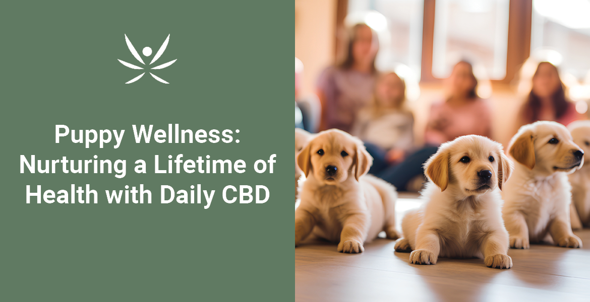 natural wellness products